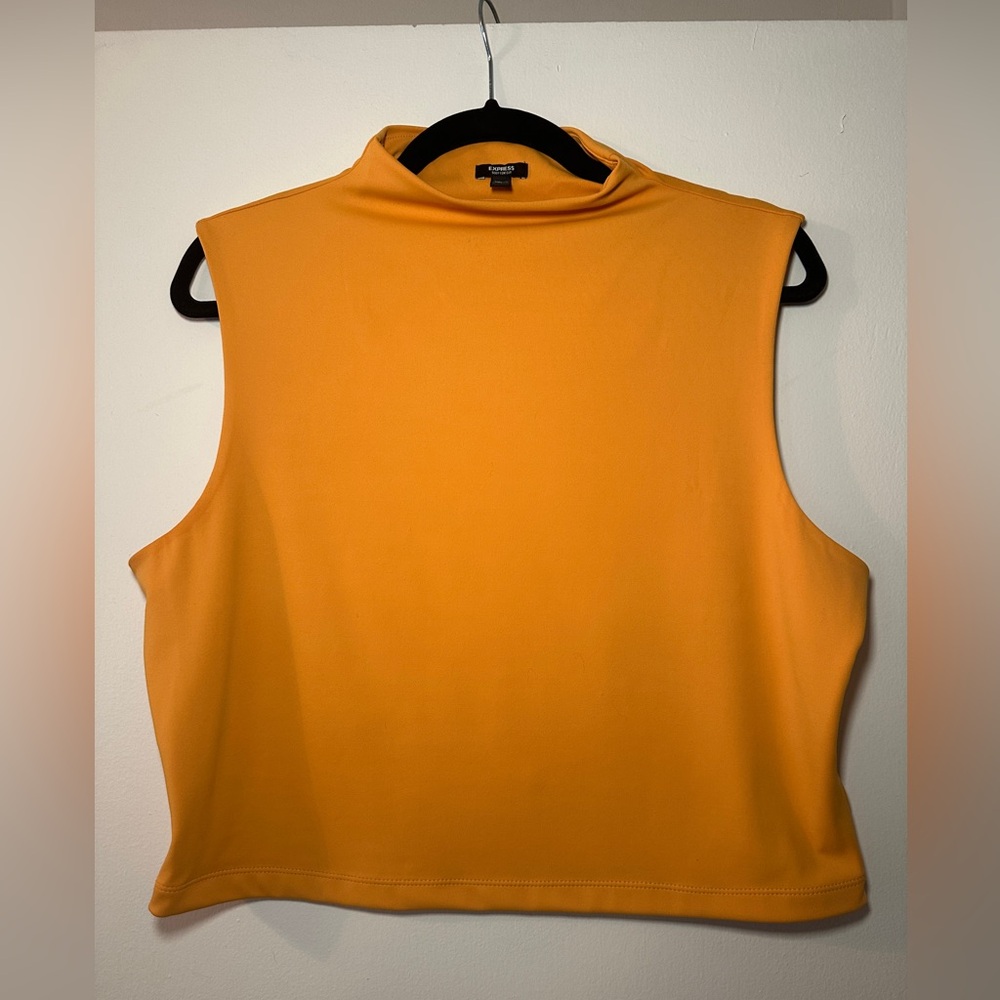 Express Mock Neck Cropped Sleeveless Top